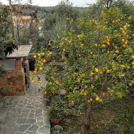 Apartment Arancio Giorgio *